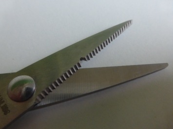 Jenzi Multi Scissors